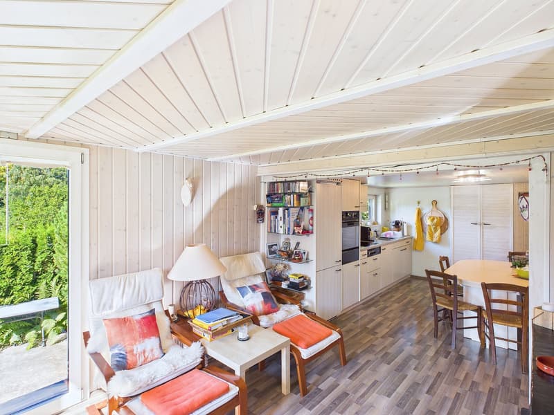 Open concept room with living area, dining area, and kitchen, wooden floors, large windows, dining table and chairs, white ceiling