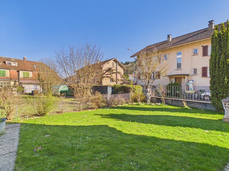 Green lawn, trees, bushes, fence, houses in the background
