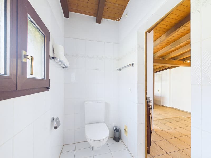 white tiled walls, white toilet, wooden ceiling, window, trash bin, toilet paper holder
