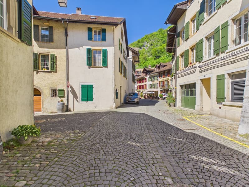 Historic Gem with In-Law Suite and Expansion Potential (3)