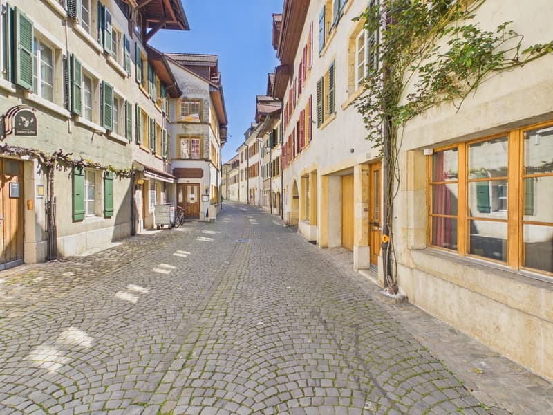Historic Gem with In-Law Suite and Expansion Potential (1)
