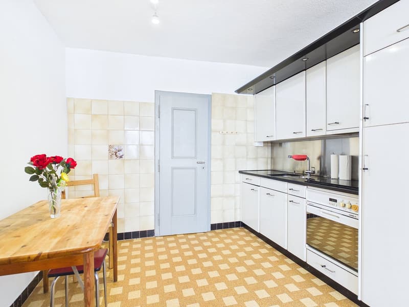 Historic Gem with In-Law Suite and Expansion Potential (6)