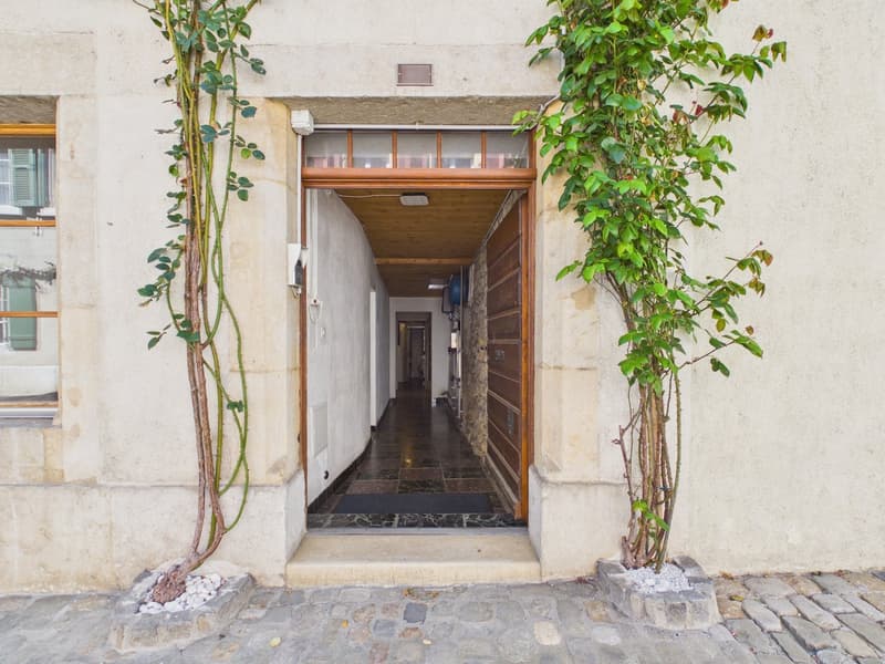 Historic Gem with In-Law Suite and Expansion Potential (2)