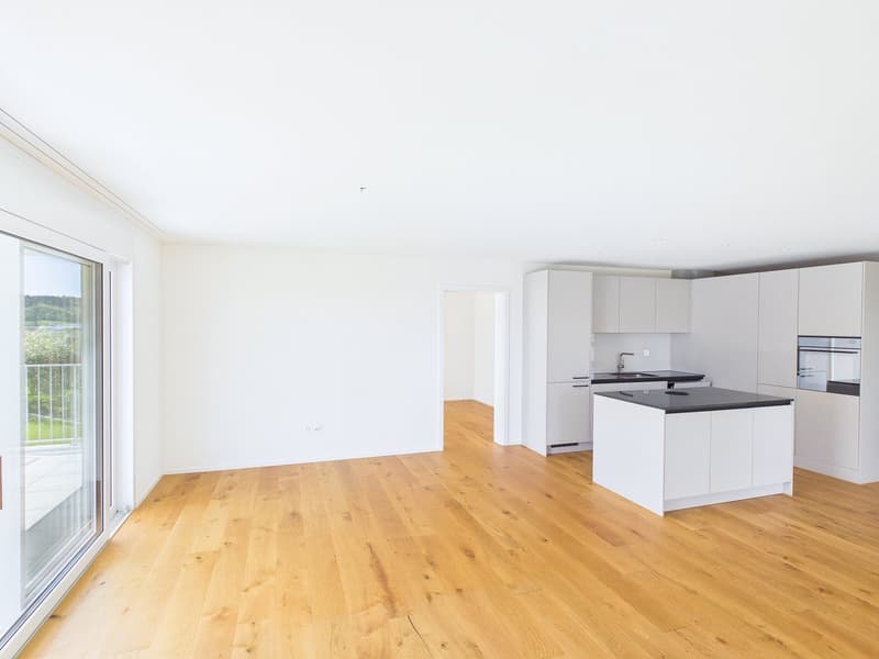 Newly built apartment with wonderful views (5)