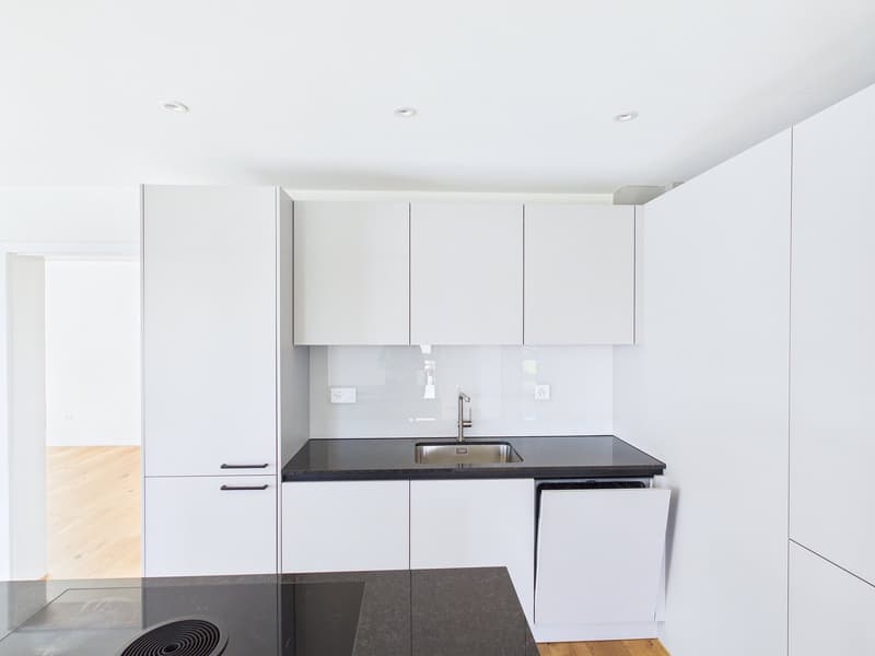 Newly built apartment with wonderful views (6)