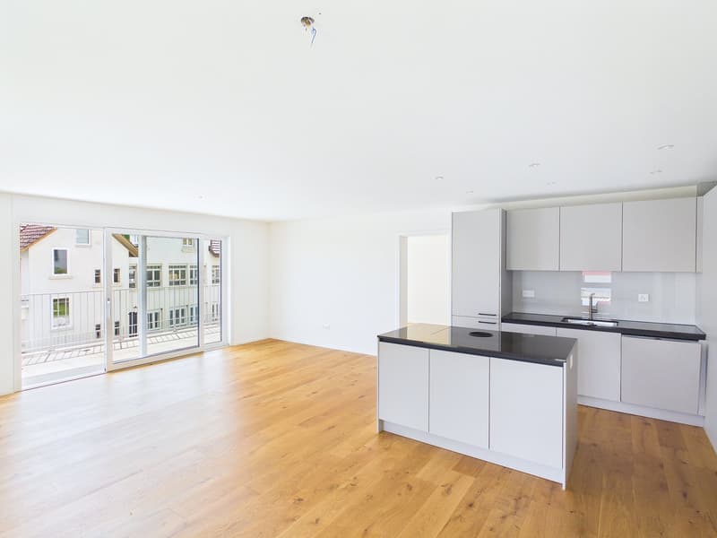 Newly built apartment with wonderful views (4)