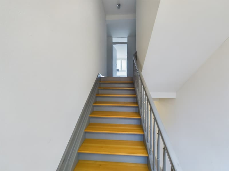 Charming 5.5-room duplex apartment in the heart of Biel (14)