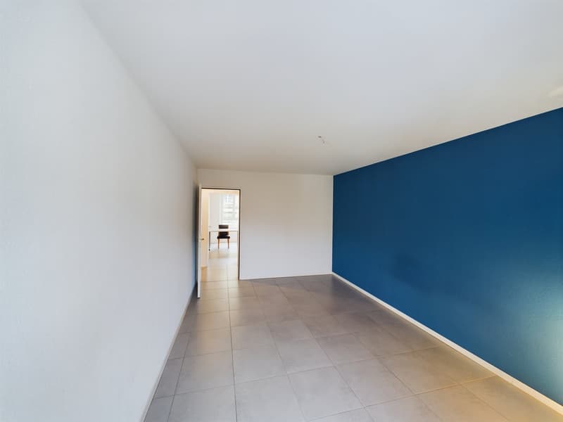 Charming 5.5-room duplex apartment in the heart of Biel (21)