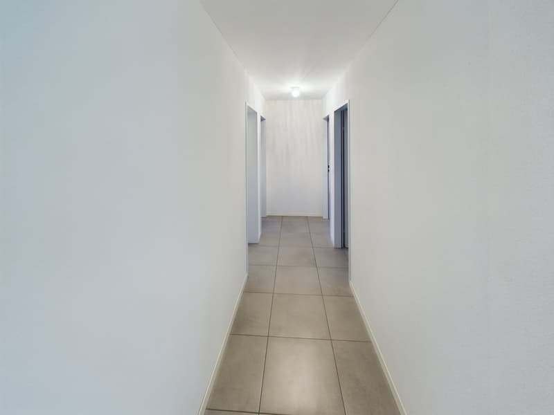 Charming 5.5-room duplex apartment in the heart of Biel (18)