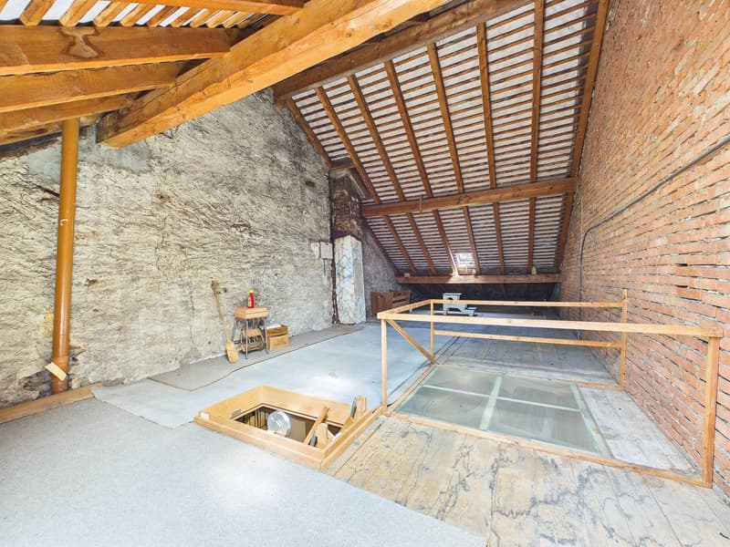 Historic Gem with In-Law Apartment and Development Potential (7)