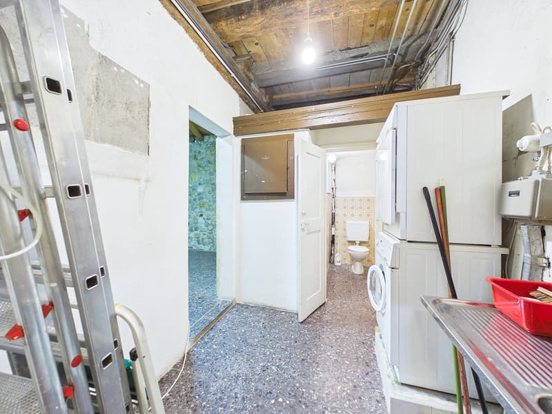 Historic Gem with In-Law Apartment and Development Potential (15)