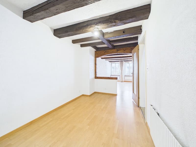 Historic Gem with In-Law Apartment and Development Potential (4)