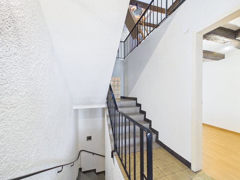 Historic Gem with In-Law Apartment and Development Potential (14)