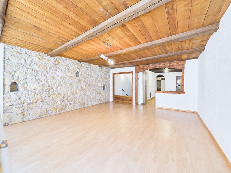 Historic Gem with In-Law Apartment and Development Potential (12)