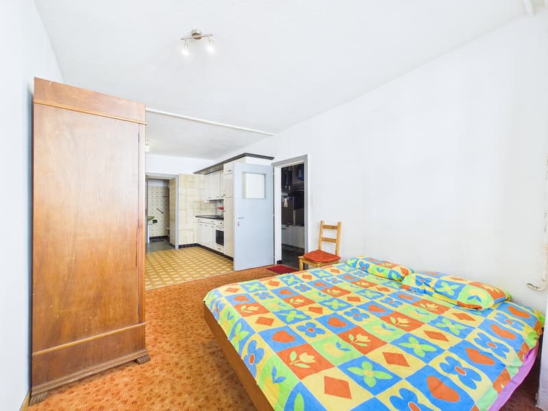 Historic Gem with In-Law Apartment and Development Potential (5)