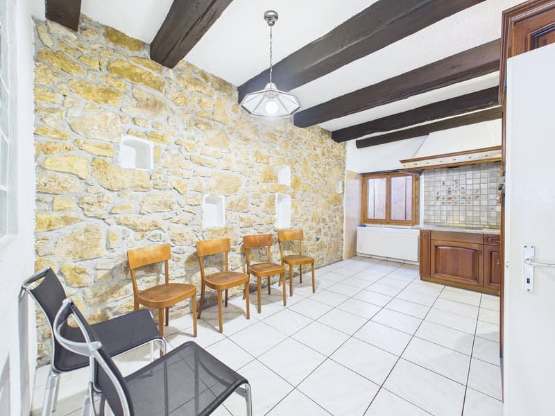 Historic Gem with In-Law Apartment and Development Potential (11)