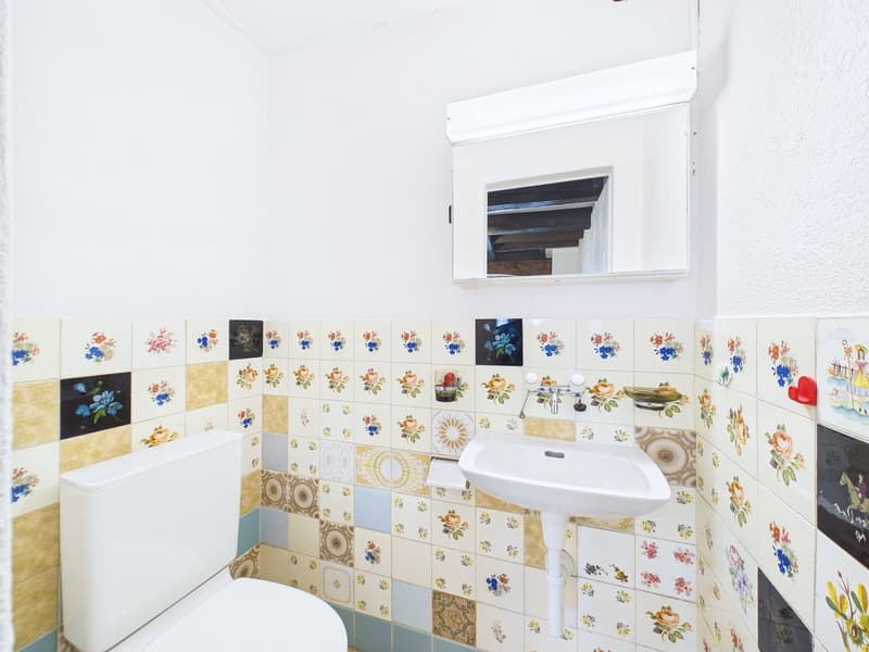 Historic Gem with In-Law Apartment and Development Potential (10)