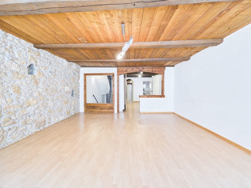Historic Gem with In-Law Apartment and Development Potential (13)