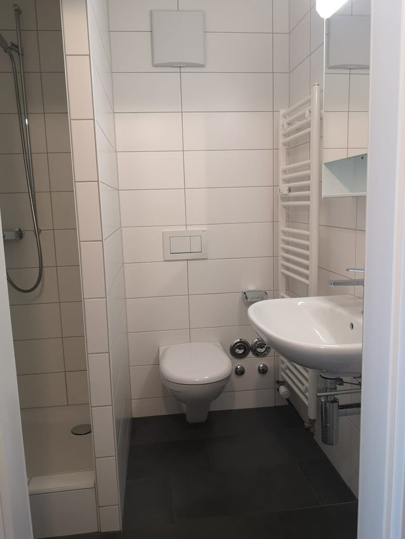 Studio an zentraler Lage (4)