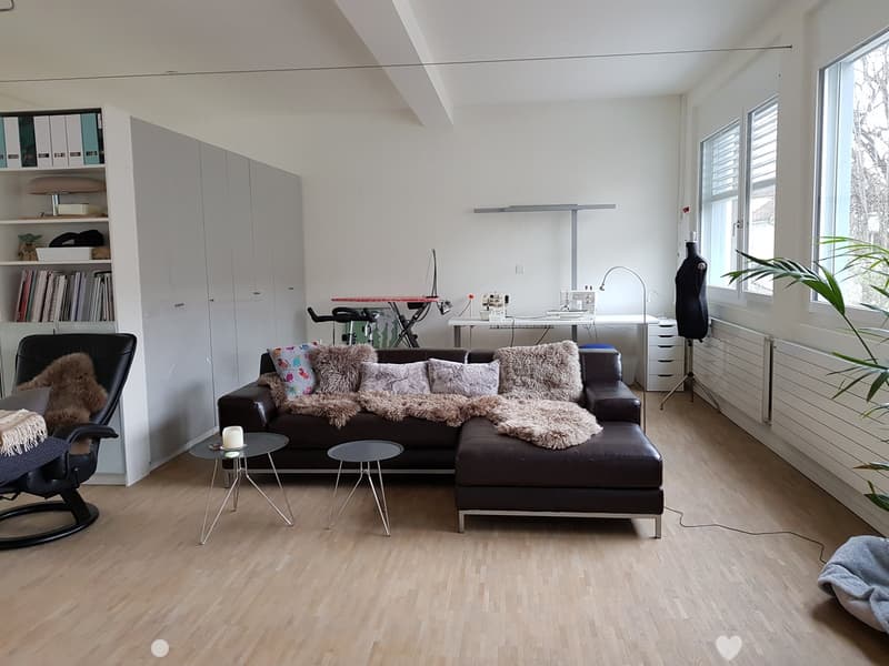 Suchen Sie eine nicht alltägliche Wohnung, wir haben die Lösung! (3)