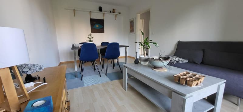 Appartamento di 3 camere con balcone, 1° piano a destra (9)