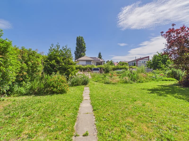 Historisches Mehrfamilienhaus im malerischen Erlach – Einzigartiges Bijou (6)