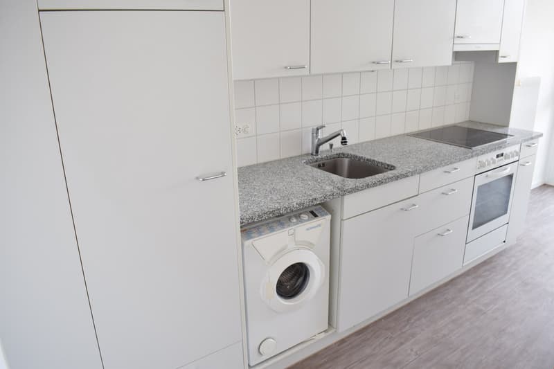 Beautiful 3-room apartment with plenty of sunlight (9)