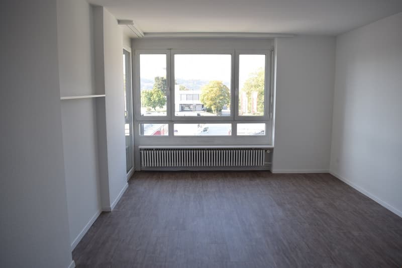 Beautiful 3-room apartment with plenty of sunlight (4)