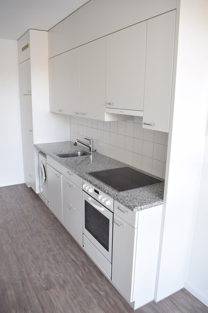 Beautiful 3-room apartment with plenty of sunlight (10)