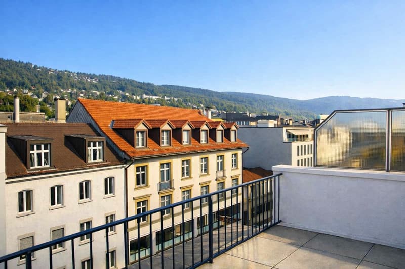 Helle Attikawohnung mit grosser Terrasse und Cheminée (10)