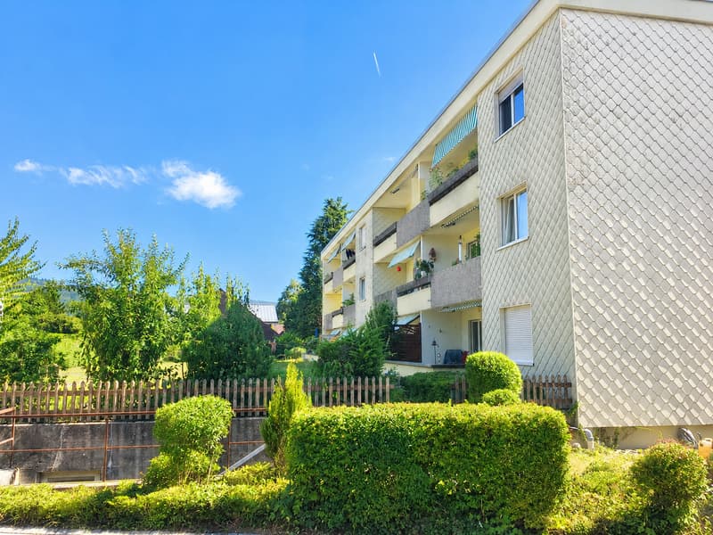 Appartement lumineux 3.5 pièces avec grand balcon ensoleillé (1)