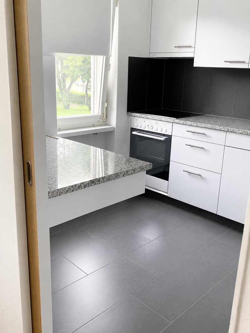 Appartement lumineux 3.5 pièces avec grand balcon ensoleillé (2)