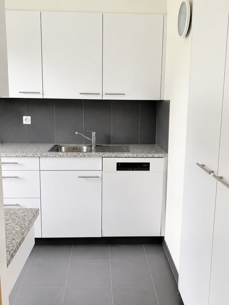 Appartement lumineux 3.5 pièces avec grand balcon ensoleillé (3)