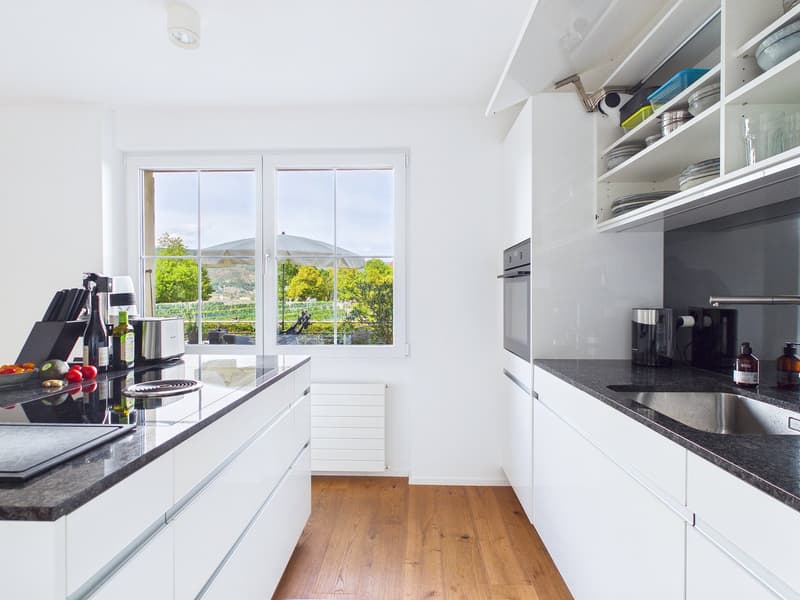 Einzigartige Villa mit Sicht auf See und Seeland (13)