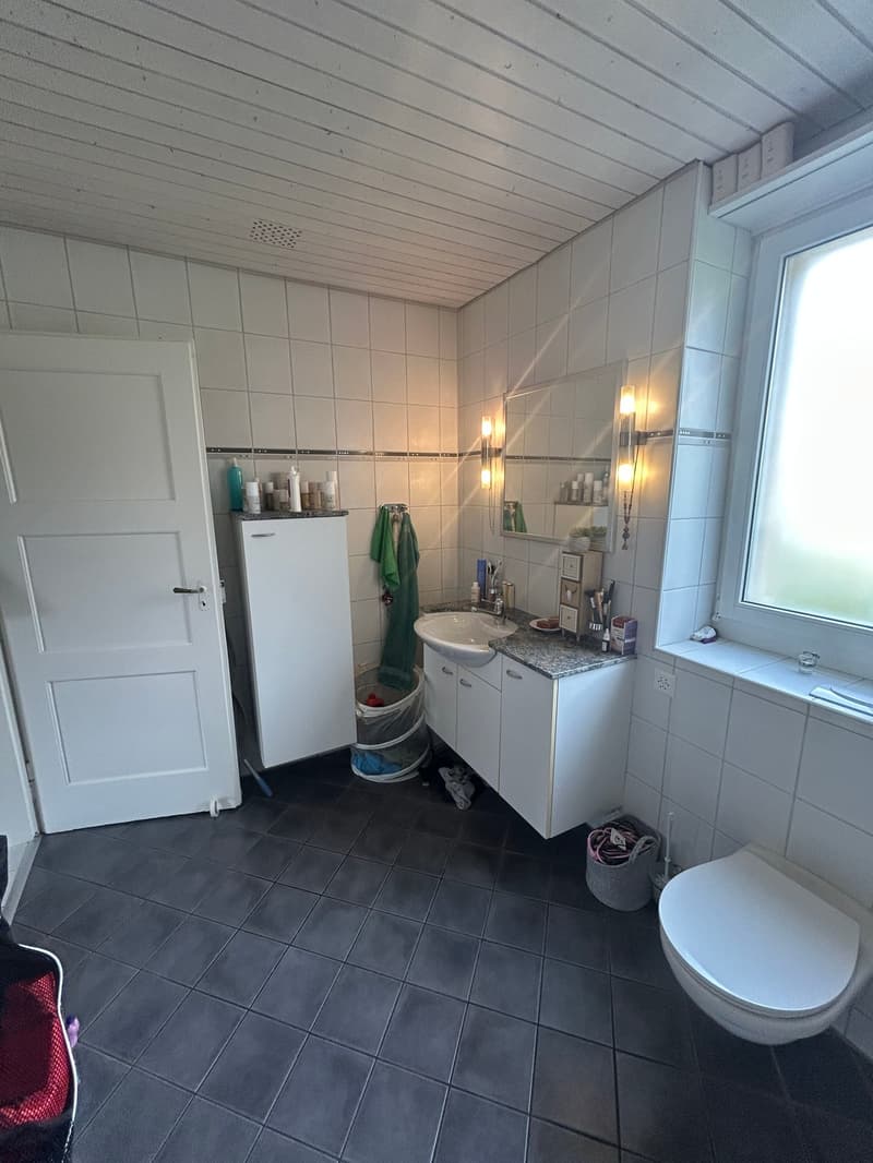 Dupplexwohnung mit 32m2 Terrasse (8)
