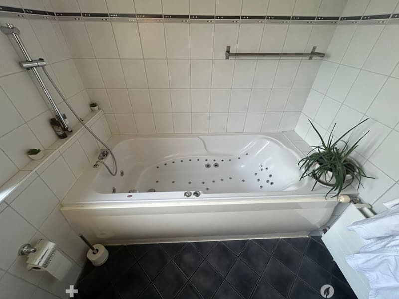 Dupplexwohnung mit 32m2 Terrasse (7)