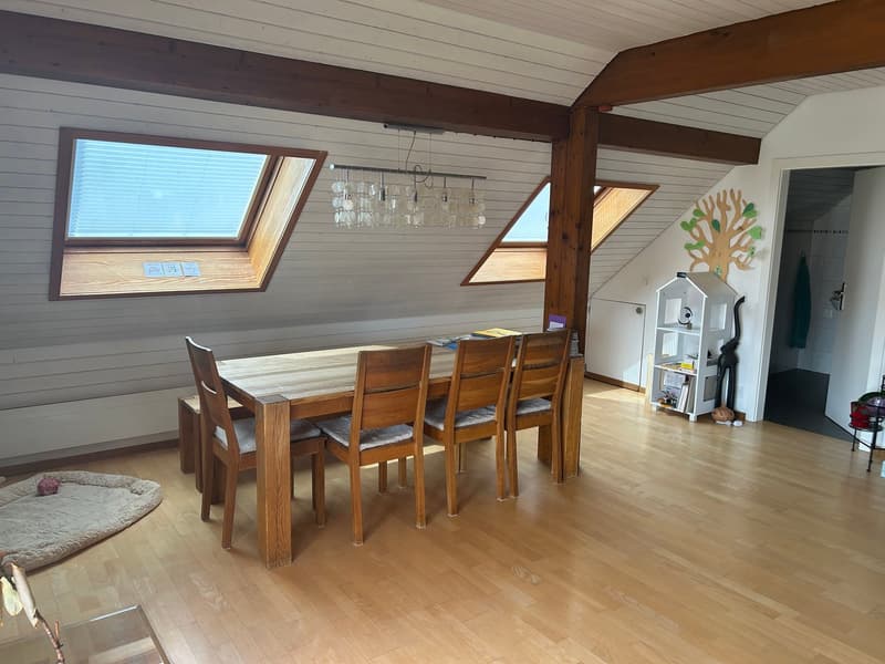 Dupplexwohnung mit 32m2 Terrasse (12)