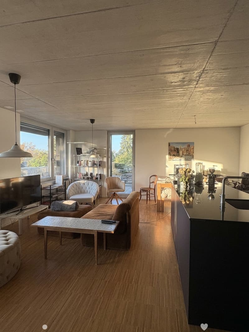 Moderne 2.5-Zimmer-Wohnung im Neubau in Biel (3)