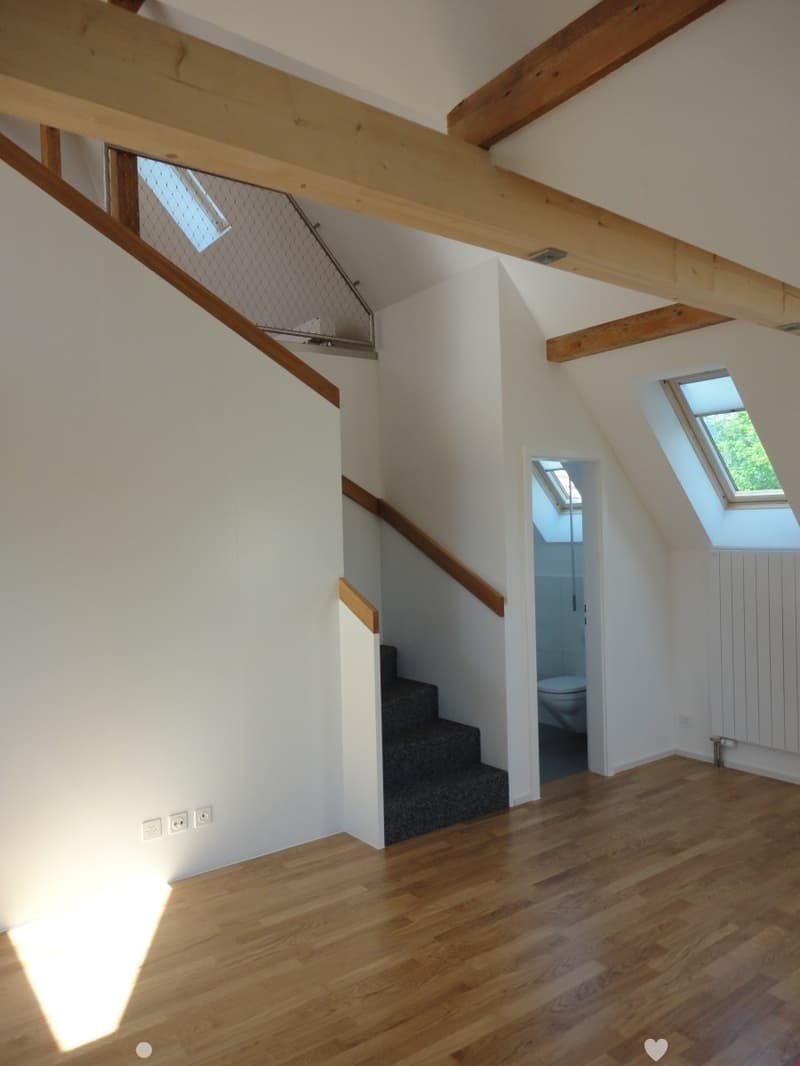 Moderne 3.5 Zimmer-Dachwohnung mit Galerie und Terrasse (3)