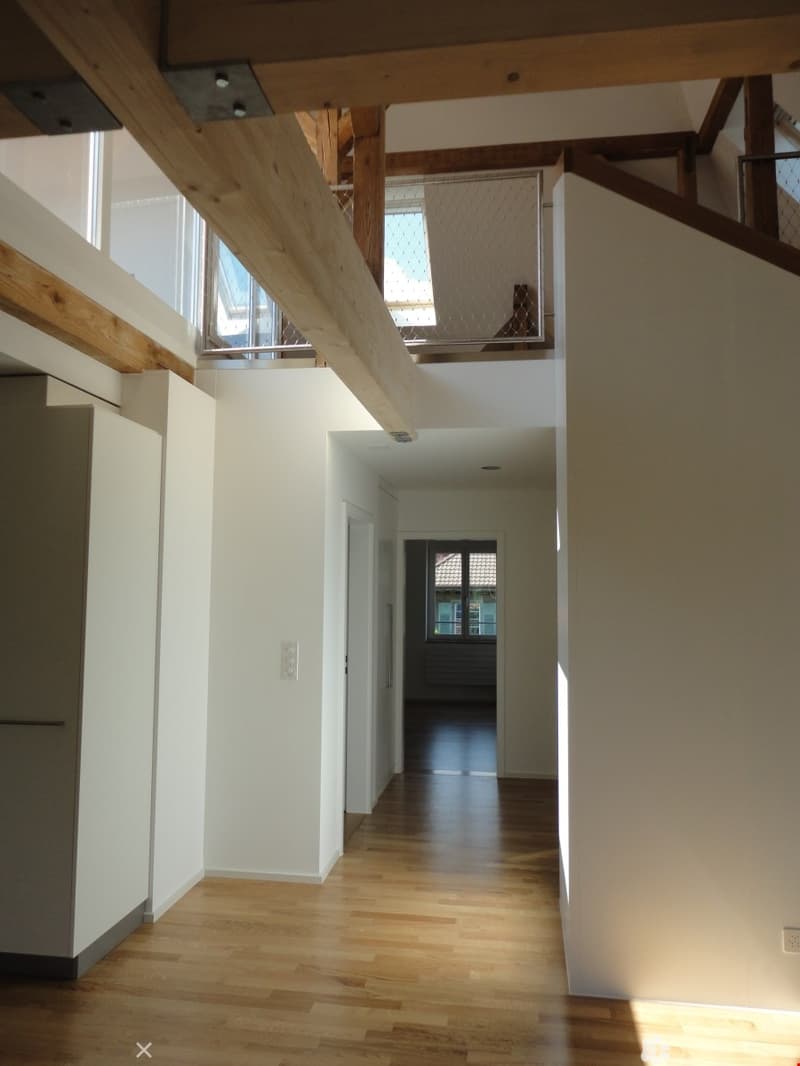 Moderne 3.5 Zimmer-Dachwohnung mit Galerie und Terrasse (2)
