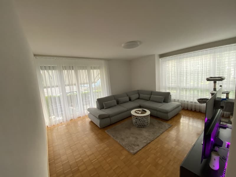 Living room: grey sectional sofa, wooden floor, coffee table, TV, area rug, white curtains, glass doors