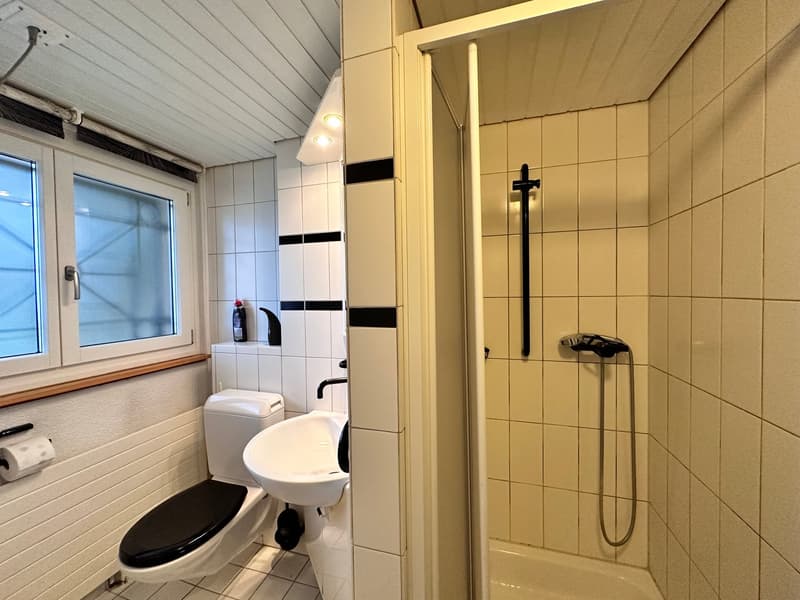 Charmante 7-Zimmer-Villa zur Miete in Büren an der Aare (14)