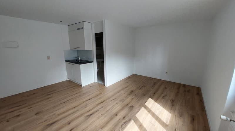 Modernes Studio mit neuer Küche (4)