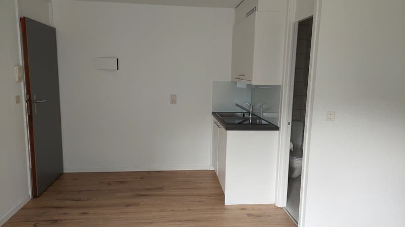 Modernes Studio mit neuer Küche (2)