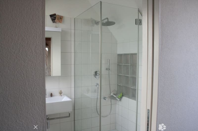 5.5-Zimmer-Duplex-Altbauwohnung mit Balkon und Garten (2)