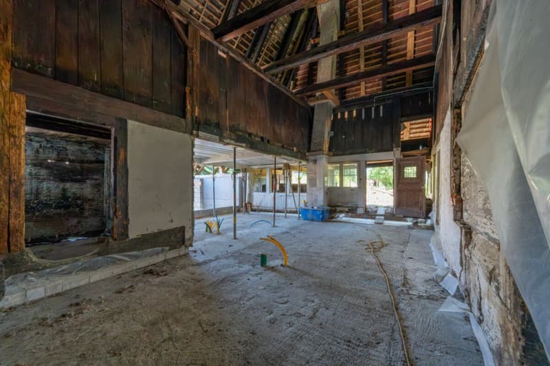 Historic property with approved renovation project and development potential (14)