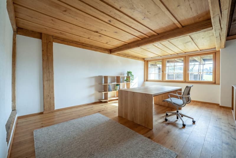Historic property with approved renovation project and development potential (7)