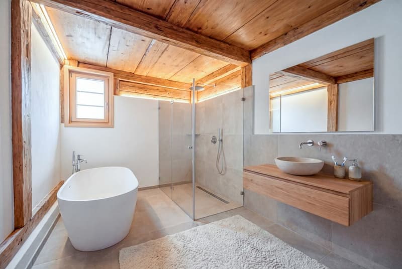 Historic property with approved renovation project and development potential (6)