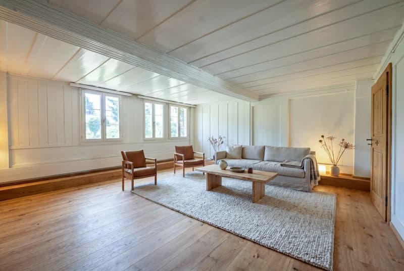 Historic property with approved renovation project and development potential (3)