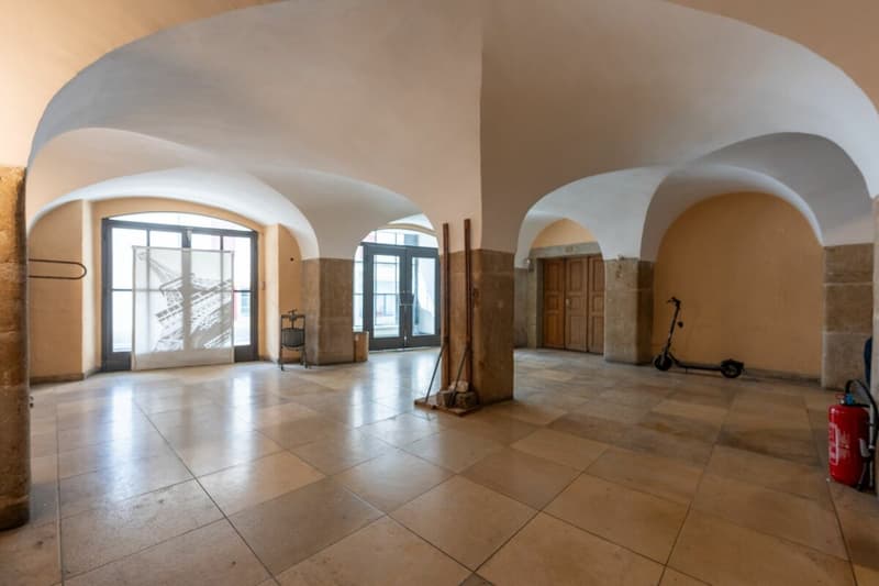 Maison multifamiliale historique dans un emplacement idéal (3)